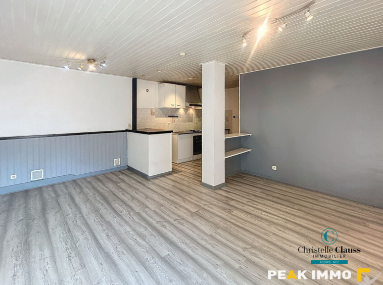 Appartement Saint Jeoire 2 pièce(s) 48.49 m2