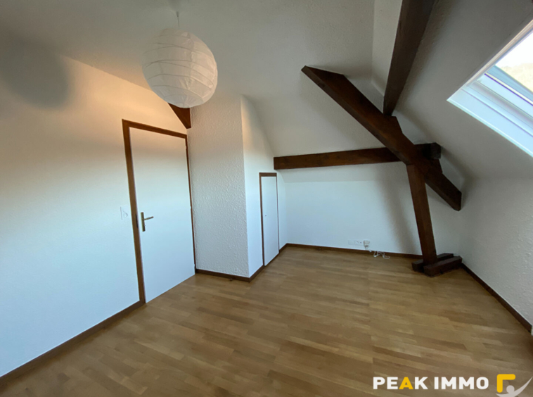 BONNE   Maison individuelle T6 bis avec jardin, garage doubl