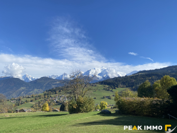 Studio cabine + mezzanine - 30 m2 utiles - Combloux