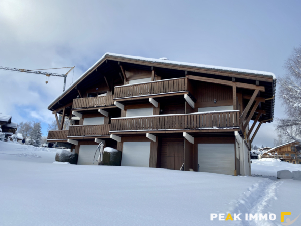 Studio cabine + mezzanine - 30 m2 utiles - Combloux