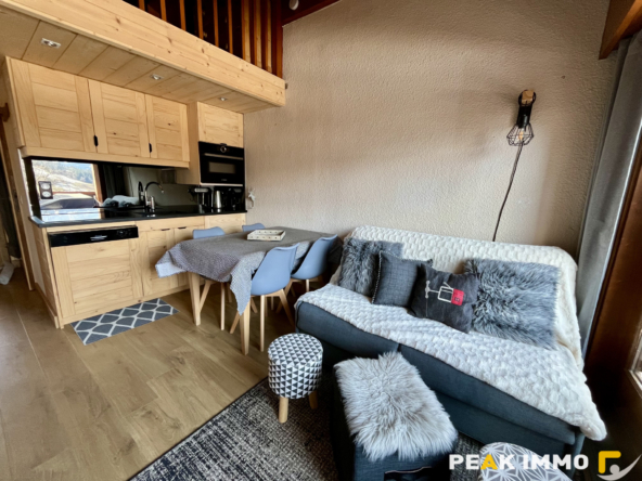 Studio cabine + mezzanine - 30 m2 utiles - Combloux