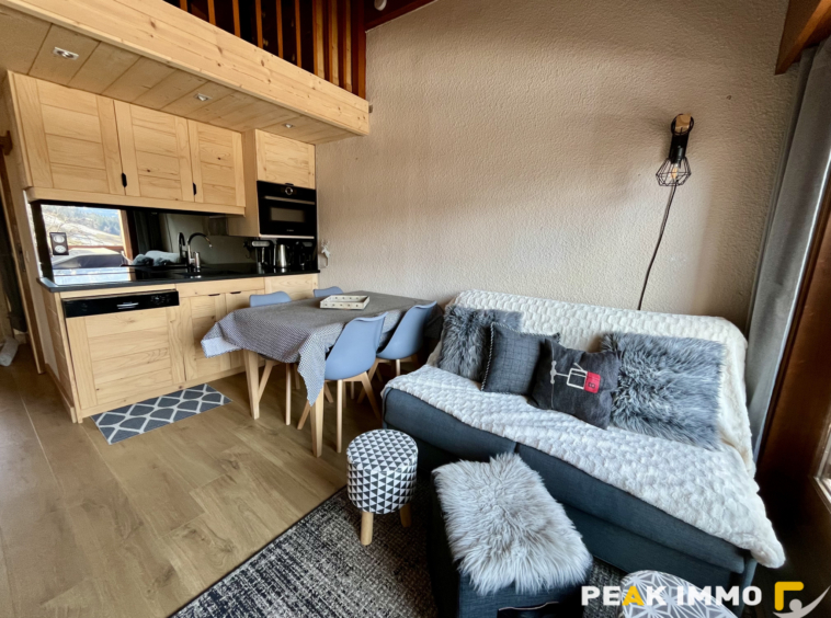 Studio cabine + mezzanine - 30 m2 utiles - Combloux