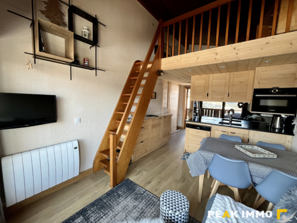 Studio cabine + mezzanine - 30 m2 utiles - Combloux