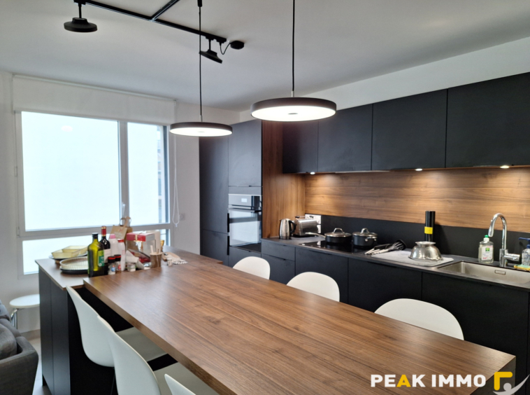 Appartement Type 3 récent ANNECY LE VIEUX