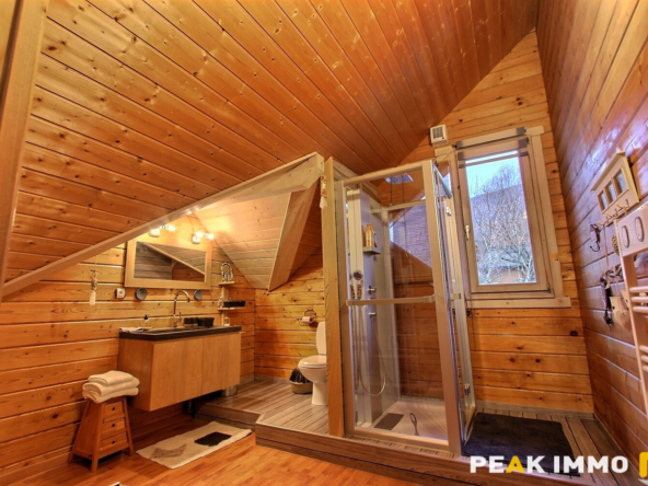 Propriété avec terrain - VIUZ LA CHIESAZ