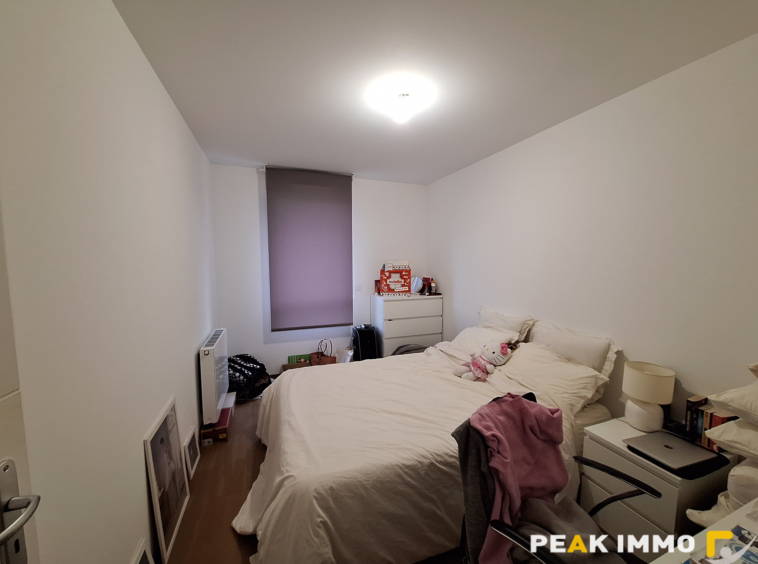 Appartement Type 3 récent ANNECY LE VIEUX