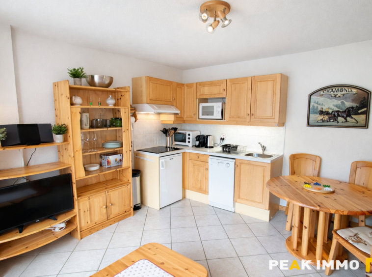 Appartement 2 pièces 32 m2 - SERVOZ