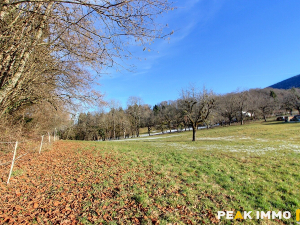 Propriété avec terrain - VIUZ LA CHIESAZ