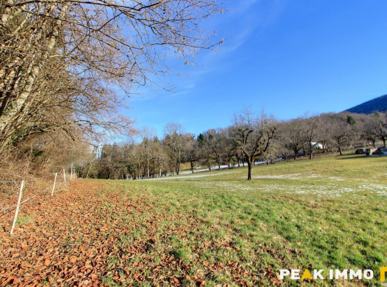 Propriété avec terrain - VIUZ LA CHIESAZ