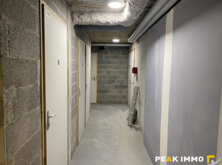 COMBLOUX SECTEUR LE CRY  T3 + CABINE