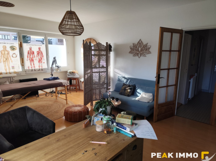 Appartement 2 pièces - 56.08 m2 - ANNECY-LE-VIEUX