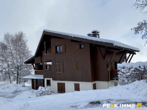 Studio cabine + mezzanine - 30 m2 utiles - Combloux