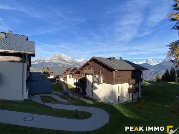 COMBLOUX SECTEUR LE CRY  T3 + CABINE