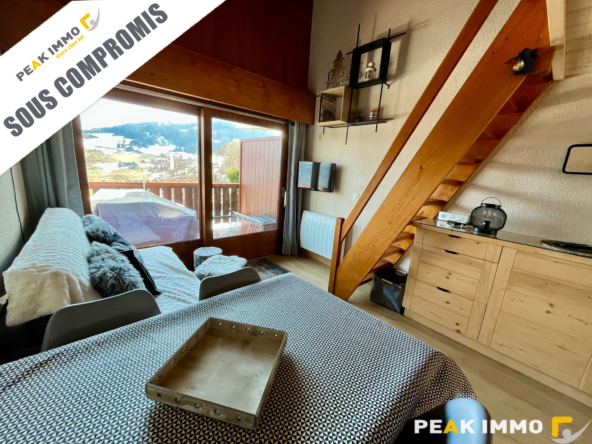 Studio cabine + mezzanine - 30 m2 utiles - Combloux