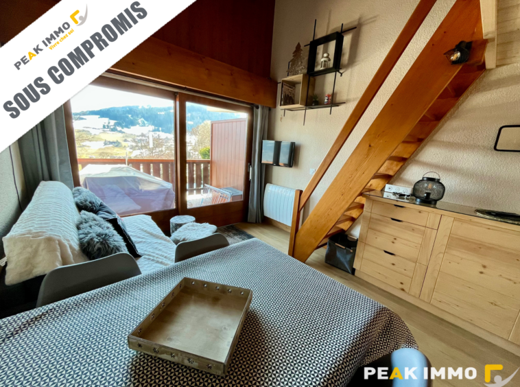 Studio cabine + mezzanine - 30 m2 utiles - Combloux