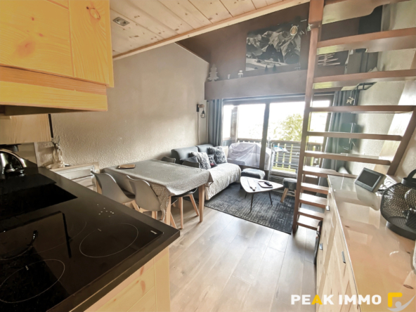 Studio cabine + mezzanine - 30 m2 utiles - Combloux