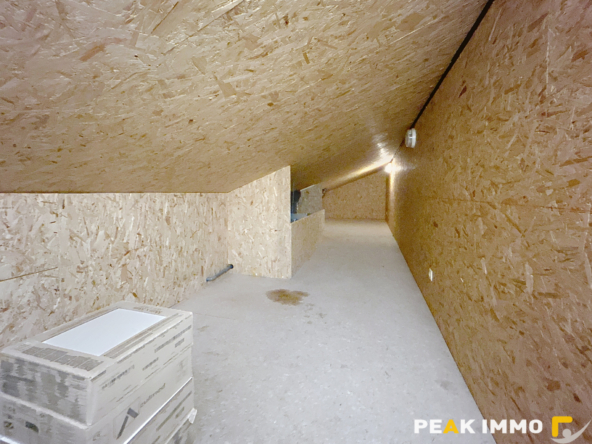 SAINT-JEOIRE   T3 en rez-de-chaussée avec terrasse et statio