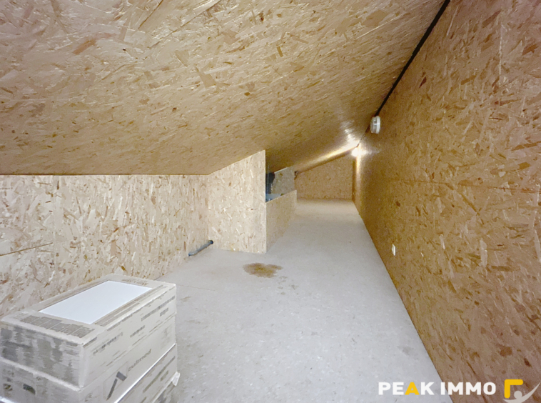 SAINT-JEOIRE   T3 en rez-de-chaussée avec terrasse et statio