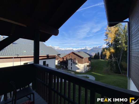 COMBLOUX SECTEUR LE CRY  T3 + CABINE