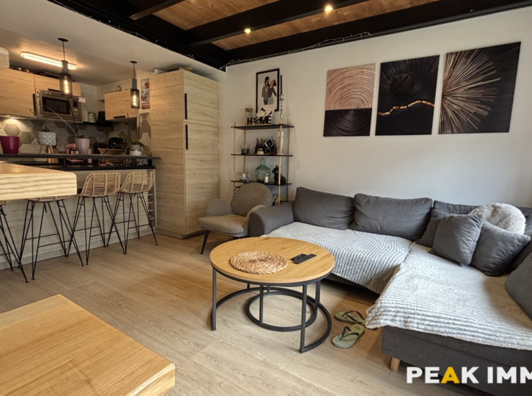 Appartement 3 duplex 56,50 m2 total - Les Houches