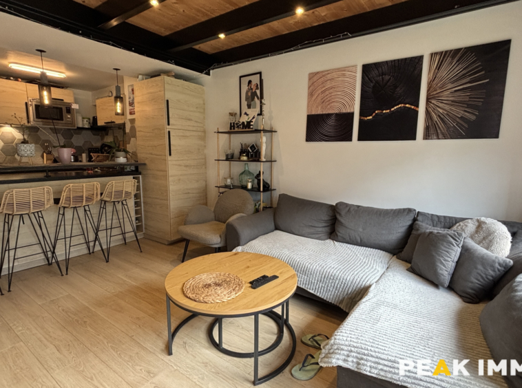 Appartement 3 duplex 56,50 m2 total - Les Houches