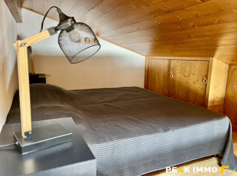 Studio cabine + mezzanine - 30 m2 utiles - Combloux