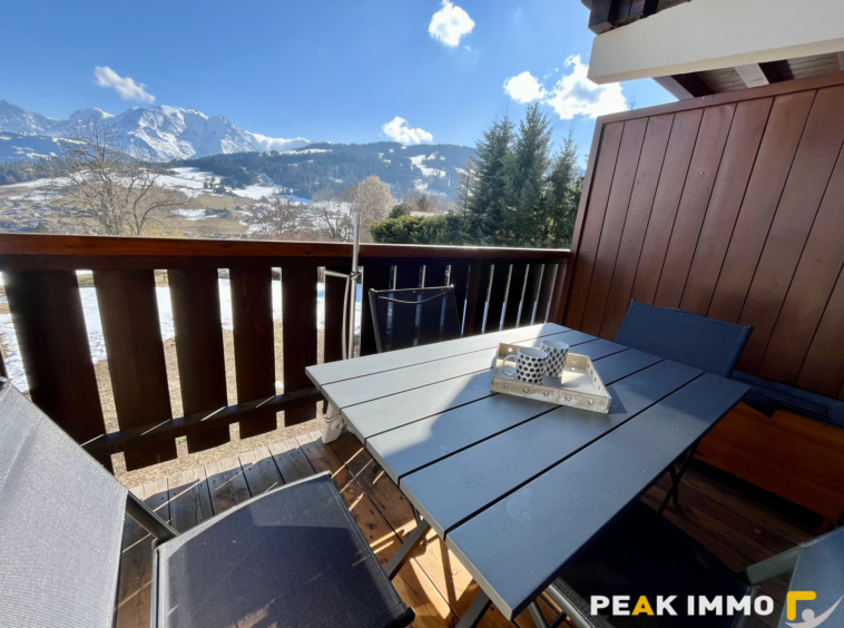 Studio cabine + mezzanine - 30 m2 utiles - Combloux