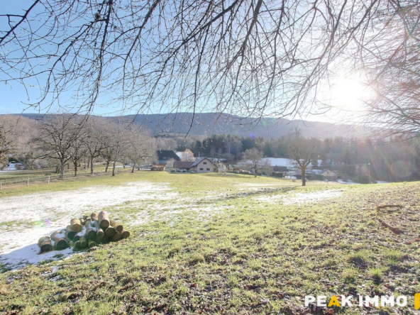 Propriété avec terrain - VIUZ LA CHIESAZ