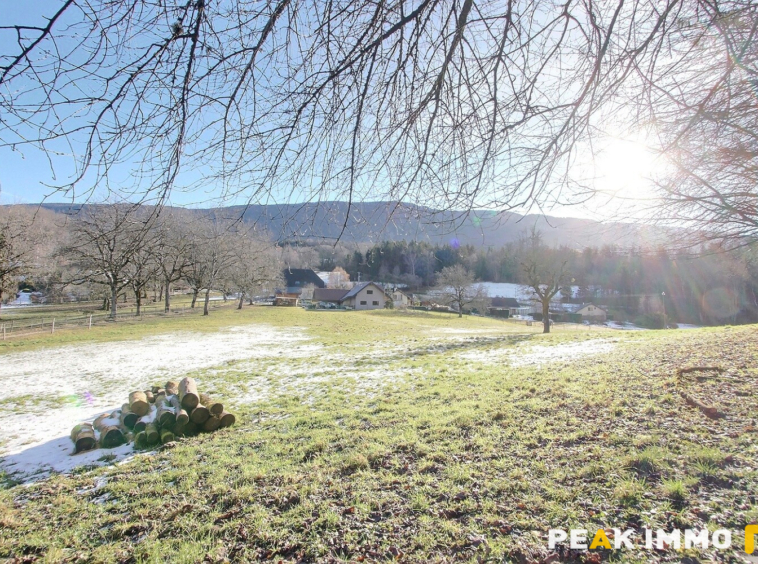 Propriété avec terrain - VIUZ LA CHIESAZ
