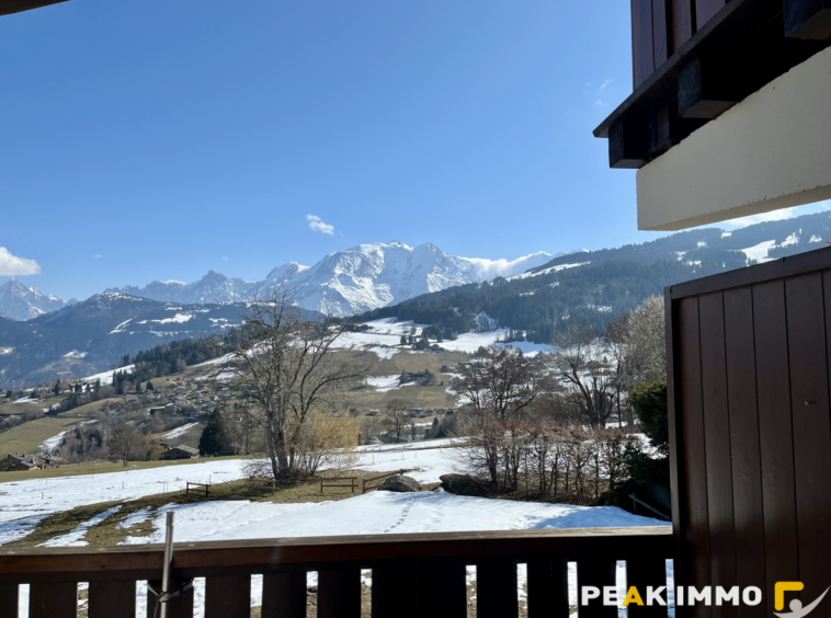 Studio cabine + mezzanine - 30 m2 utiles - Combloux