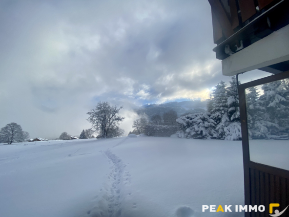 Studio cabine + mezzanine - 30 m2 utiles - Combloux