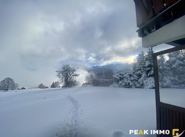 Studio cabine + mezzanine - 30 m2 utiles - Combloux