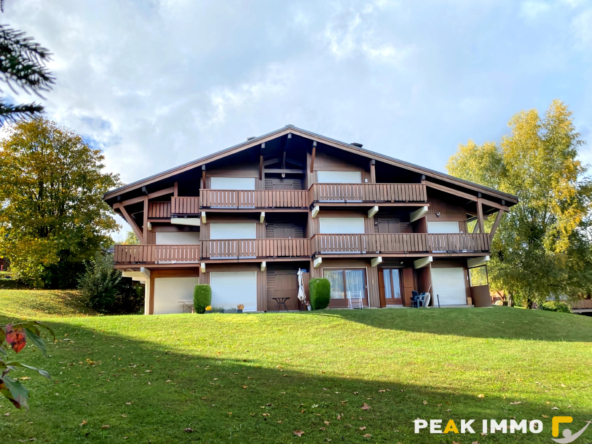 Studio cabine + mezzanine - 30 m2 utiles - Combloux