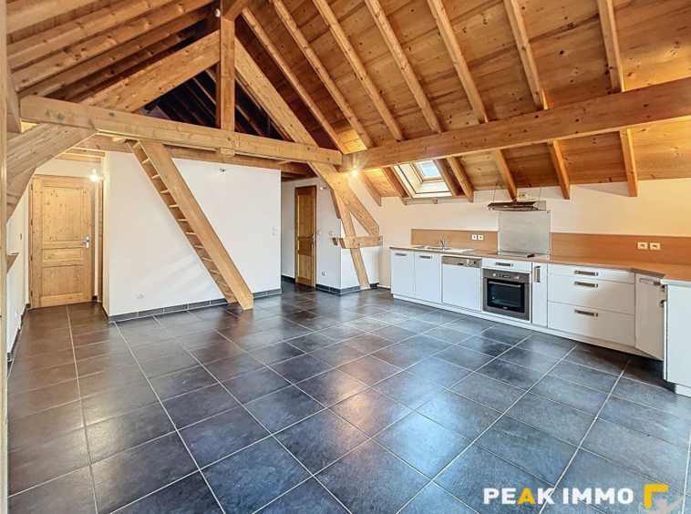 Duplex T3 bis lumineux avec terrasse et garage