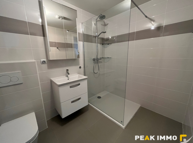 Appartement 4 pièces - 133,50 m2 -  SAINT-GENIS-POUILLY