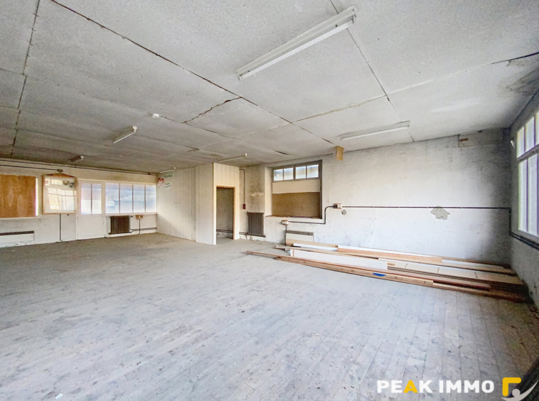 BONNEVILLE: Grande maison avec bâtiments annexes