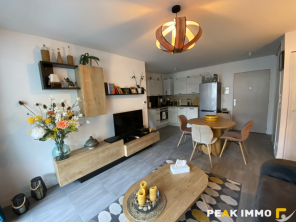 Appartement 2 pièces Sallanches