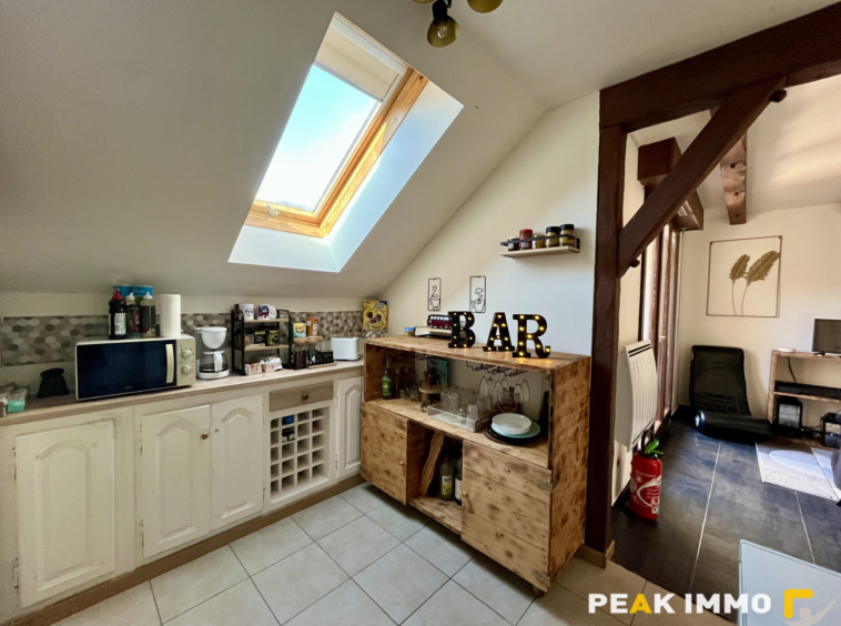 Appartement F3 - 71.36 m2 utiles - Sallanches secteur Saint