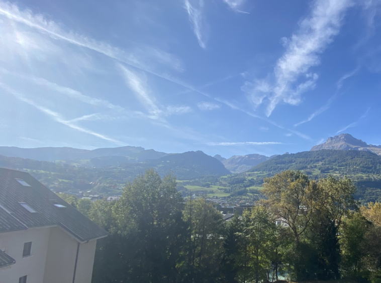 Appartement F3 - 71.36 m2 utiles - Sallanches secteur Saint