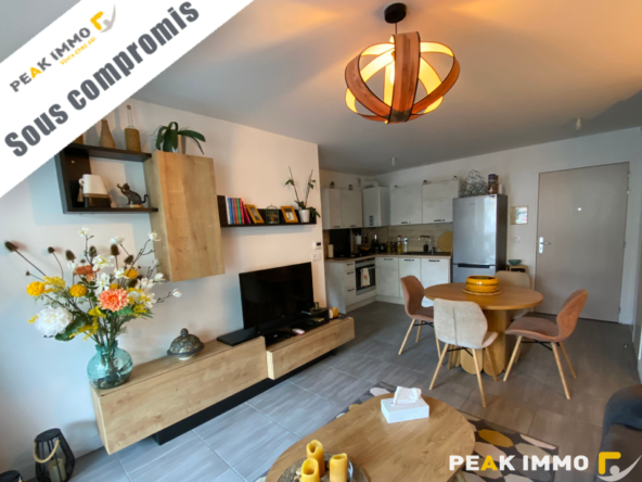 Appartement 2 pièces Sallanches