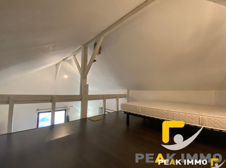 Chalet 3 pièces 52 m2 - Combloux