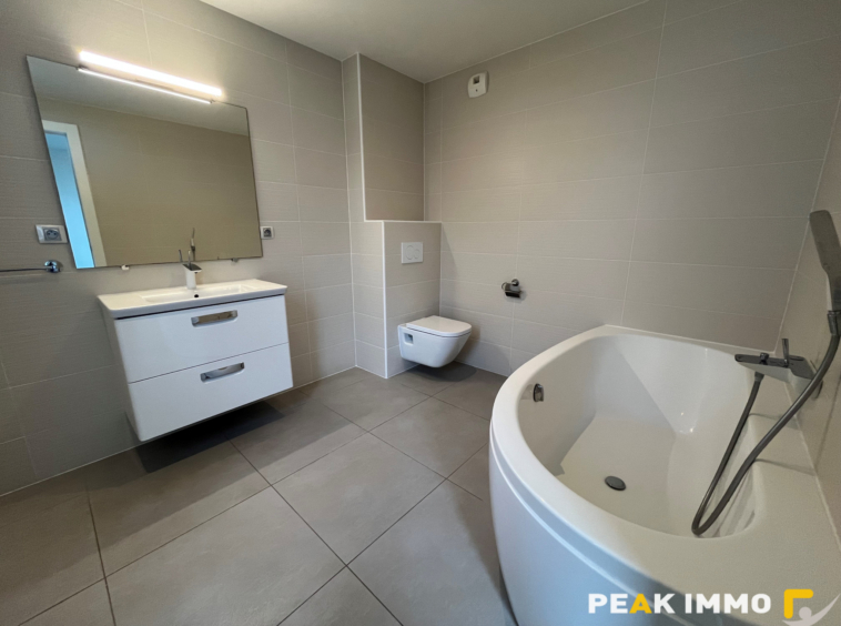 Appartement 5 pièces - 166,50 m2 -  SAINT-GENIS-POUILLY