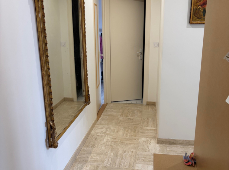 ANNEMASSE CENTRE ATTIQUE