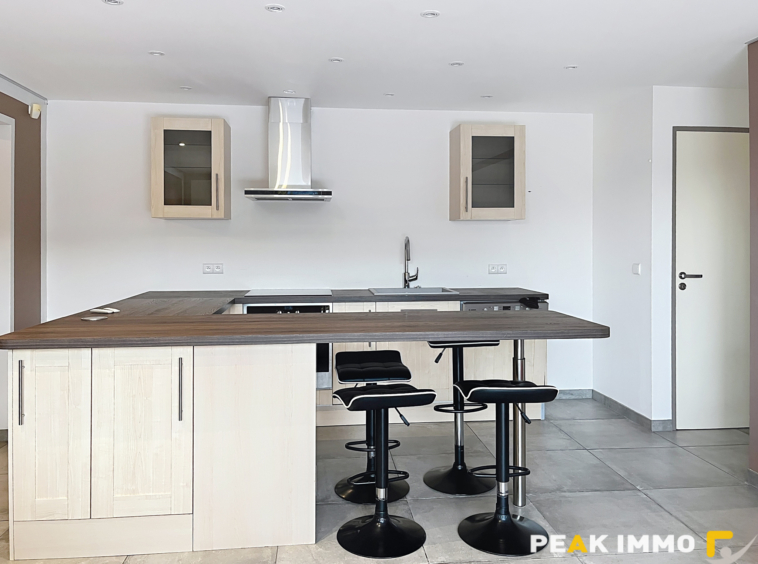 EN EXCLUSIVITE VALLEE VERTE SECTEUR BOEGE MAISON D'EXCEPTION