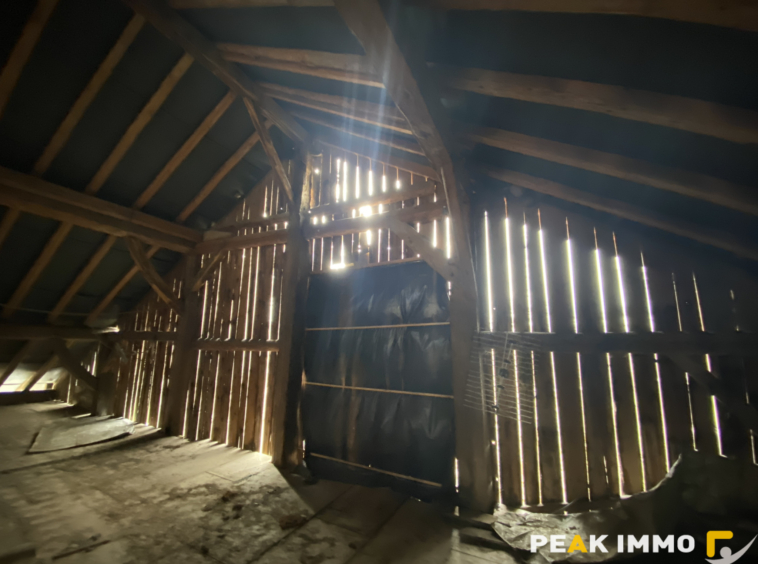 Maison mitoyenne de 46.06m2 avec jardin à rénover   Peillonn
