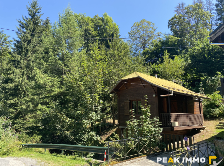 Chalet 3 pièces 52 m2 - Combloux