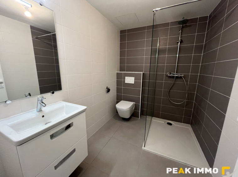 Appartement 5 pièces - 166,50 m2 -  SAINT-GENIS-POUILLY