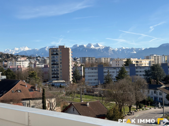 ANNEMASSE CENTRE ATTIQUE