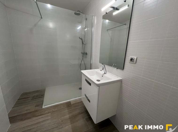 Appartement 5 pièces - 166,50 m2 -  SAINT-GENIS-POUILLY