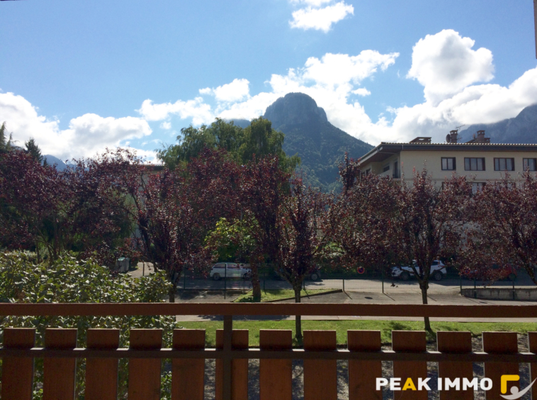 Studio 28,93 m2   Balcon sud   Vendu loué   Vue montagnes